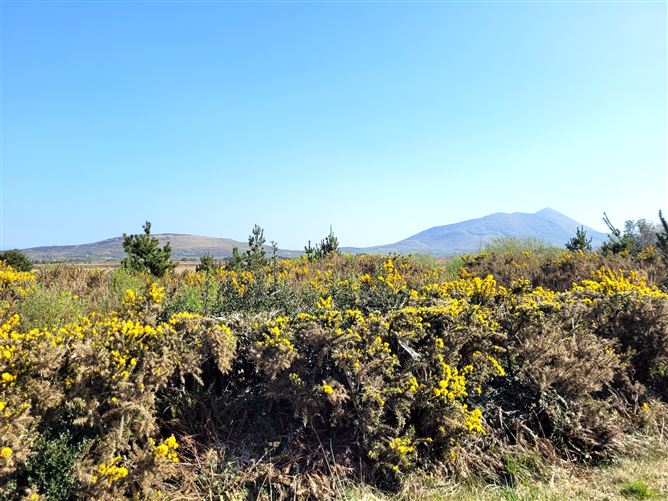 Tully, Louisburgh, Mayo