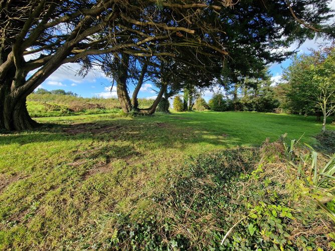 The Coach House 1 & 2, Castlecrine, Sixmilebridge, Co. Clare