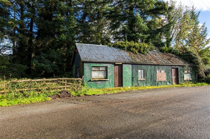 Lot One - House & Fmr Shop Premises, Ballyneale, Tullogher, Co. Kilkenny