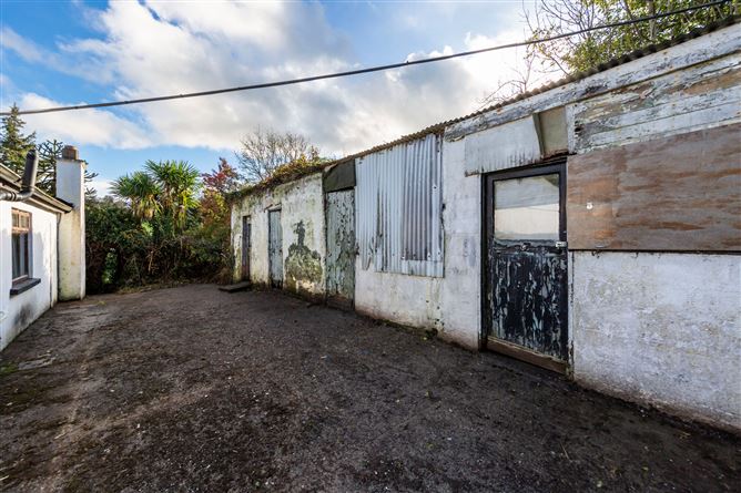 Lot One - House & Fmr Shop Premises, Ballyneale, Tullogher, Co. Kilkenny