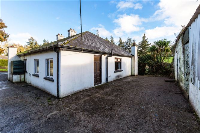 Lot One - House & Fmr Shop Premises, Ballyneale, Tullogher, Co. Kilkenny