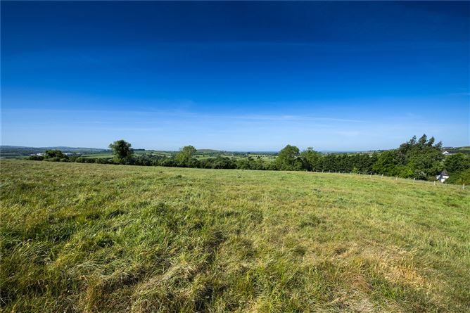 Lot 2 - Land at Athgoe, Newcastle, Co. Dublin