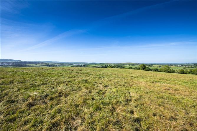 Lot 2 - Land at Athgoe, Newcastle, Co. Dublin