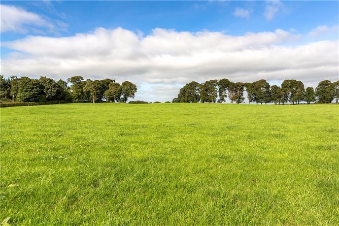 Bellair Estate, Ballycumber, Co. Offaly