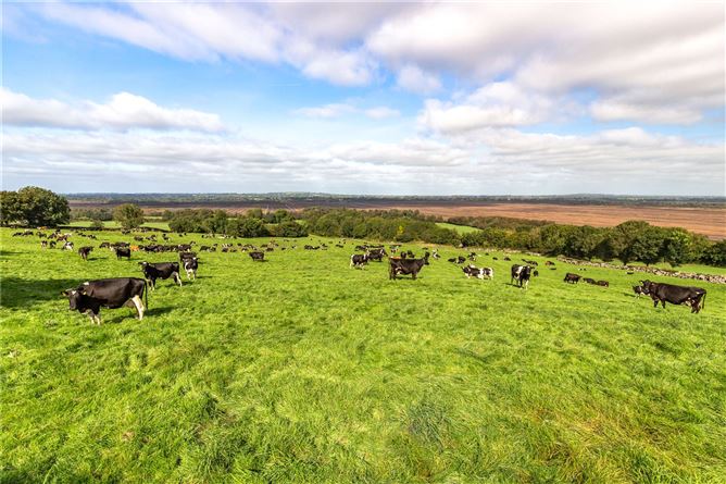 Bellair Estate, Ballycumber, Co. Offaly