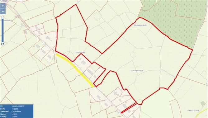 Dromore & Cornaslieve, Carrick On Shannon, Leitrim