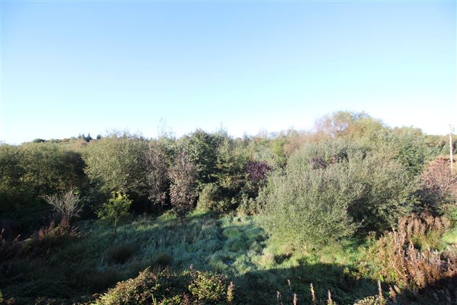 Drumrath, Virginia, Cavan