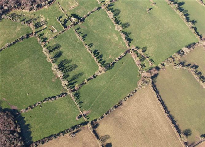Bawnaughra, Rathdowney, Laois