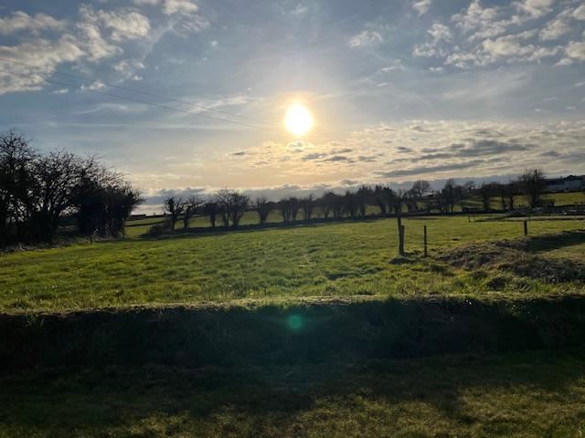 Site @ Ballytarsney, Mooncoin, Kilkenny