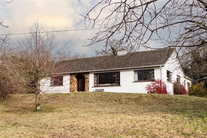 Sean Chluain, Barronsland, Thomastown, Co. Kilkenny