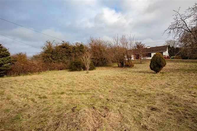 Sean Chluain, Barronsland, Thomastown, Co. Kilkenny