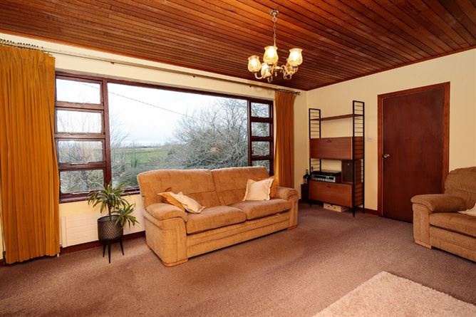 Sean Chluain, Barronsland, Thomastown, Co. Kilkenny