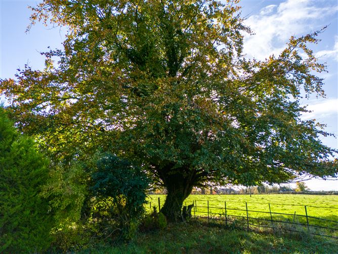 Corcloon, Milltownpass, Westmeath