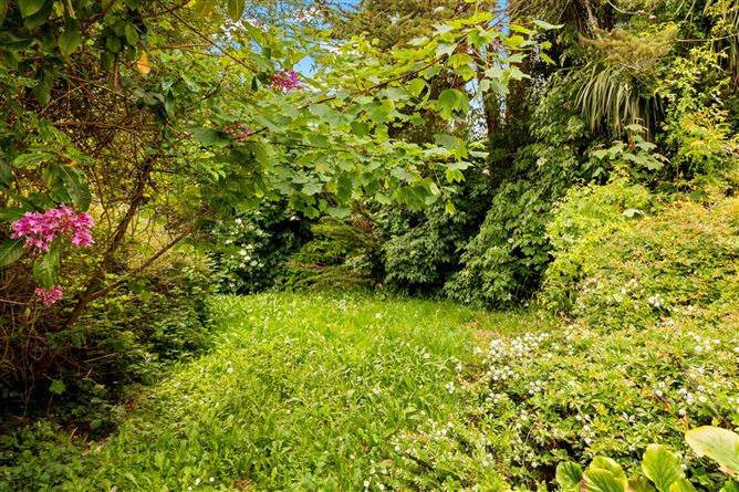 https://photos-a.propertyimages.ie/media/5/3/7/5001735/b208bd52-3cdd-4116-9c17-41552da78468_l.jpg