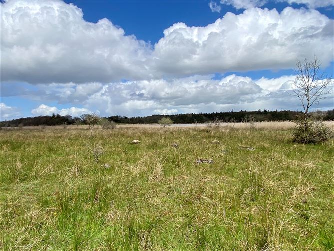 Coolaghy, Moycullen, Galway