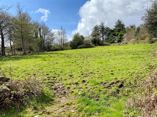 Coolaghy, Moycullen, Galway