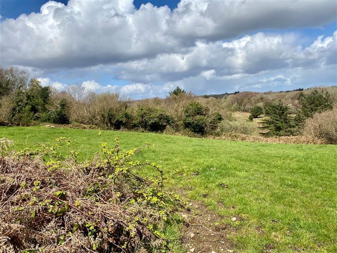 Coolaghy, Moycullen, Galway