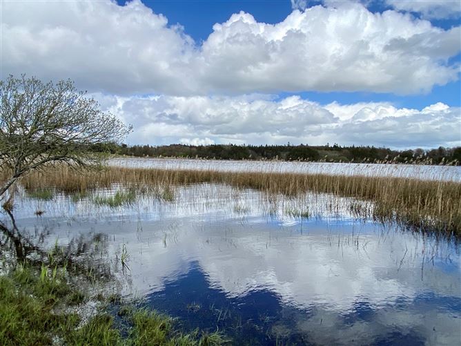 Coolaghy, Moycullen, Galway