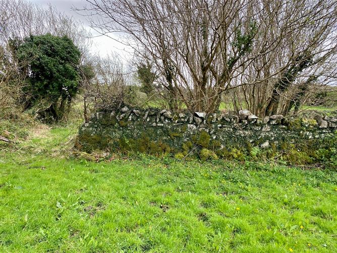 Coolaghy, Moycullen, Galway