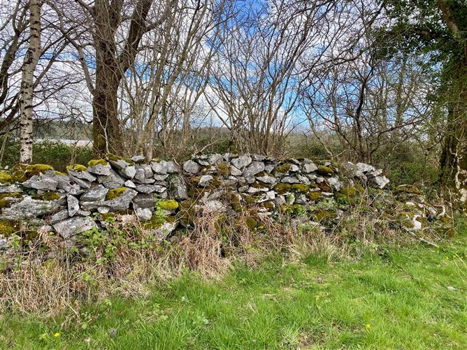 Coolaghy, Moycullen, Galway