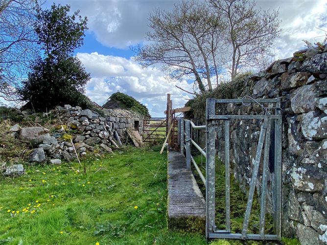Coolaghy, Moycullen, Galway