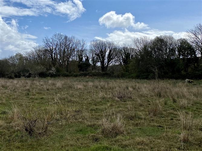 Coolaghy, Moycullen, Galway