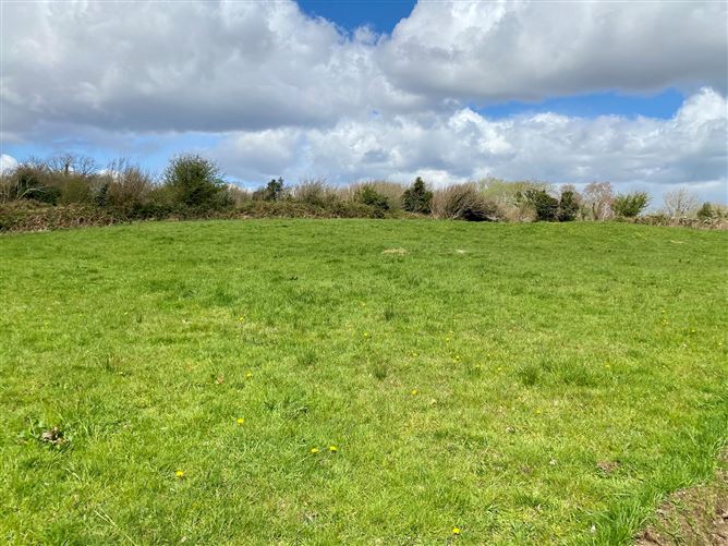 Coolaghy, Moycullen, Galway