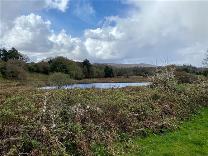 Coolaghy, Moycullen, Galway
