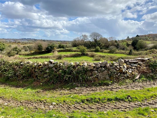Coolaghy, Moycullen, Galway