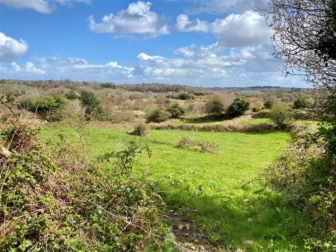 Coolaghy, Moycullen, Galway