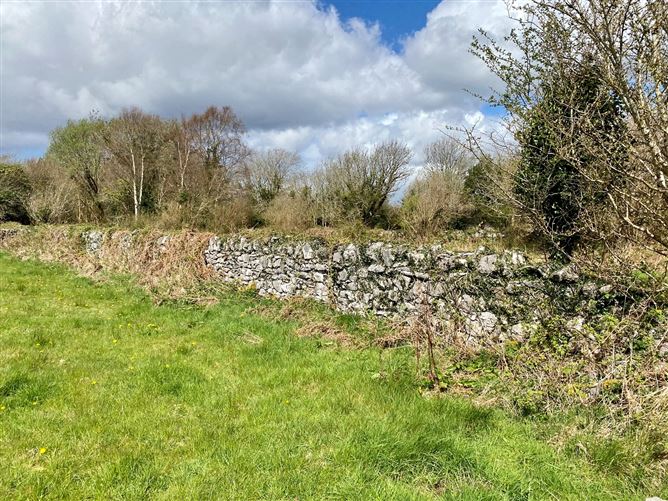 Coolaghy, Moycullen, Galway