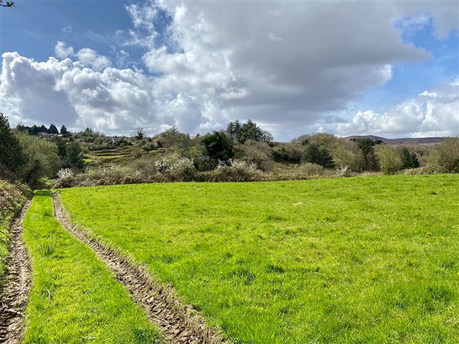 Coolaghy, Moycullen, Galway