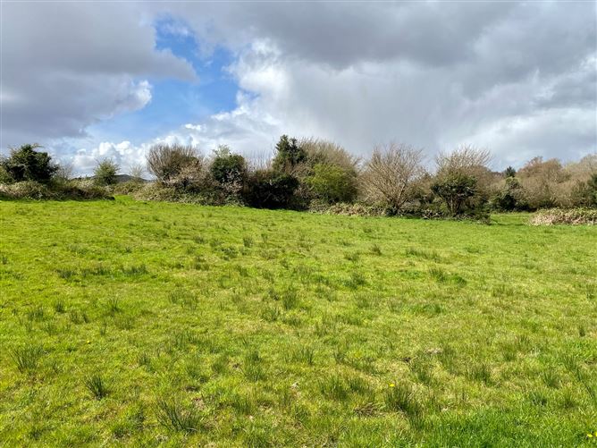 Coolaghy, Moycullen, Galway