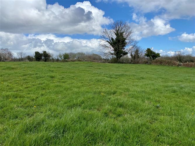 Coolaghy, Moycullen, Galway