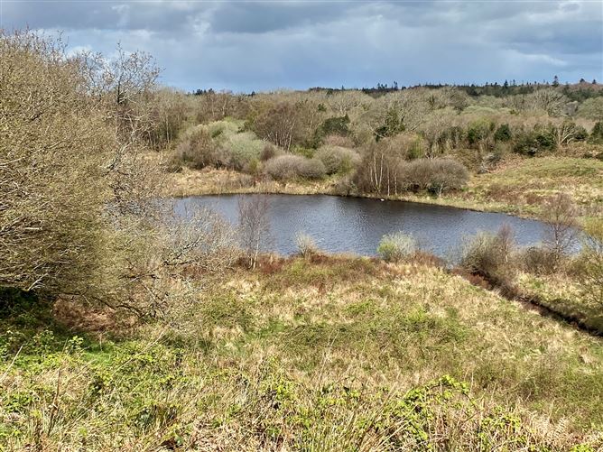 Coolaghy, Moycullen, Galway