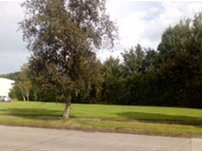 G1 Clane Business Park, Kilcock Road, Clane, Co. Kildare Sherry FitzGerald Reilly 4678935