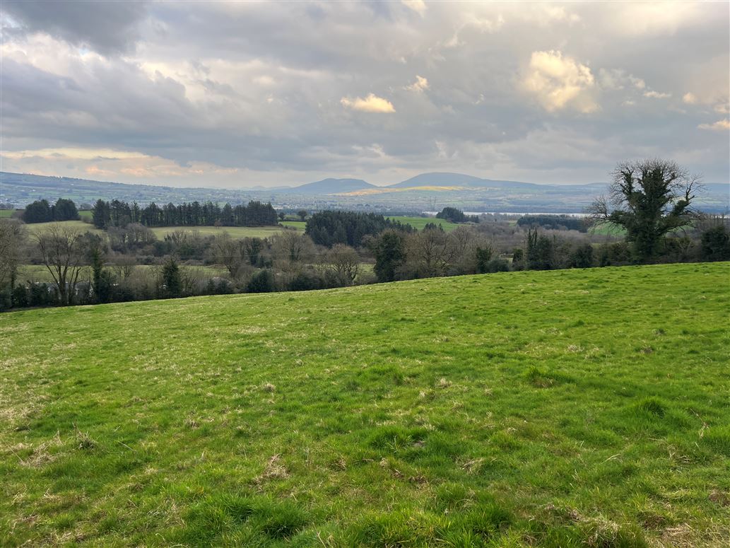 Land at Garraunboy, Killaloe, Clare