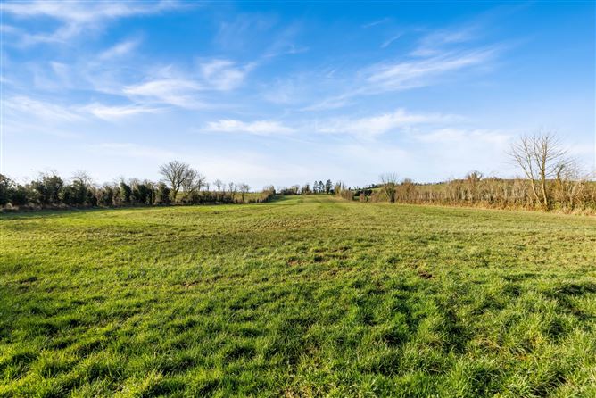 Agricultural Lands, Corlealackagh, Annyalla, Co. Monaghan