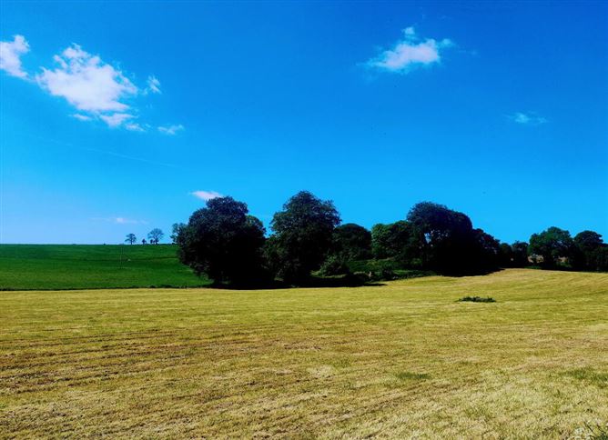 Kildrenagh, Dunleckney, Bagenalstown, Carlow