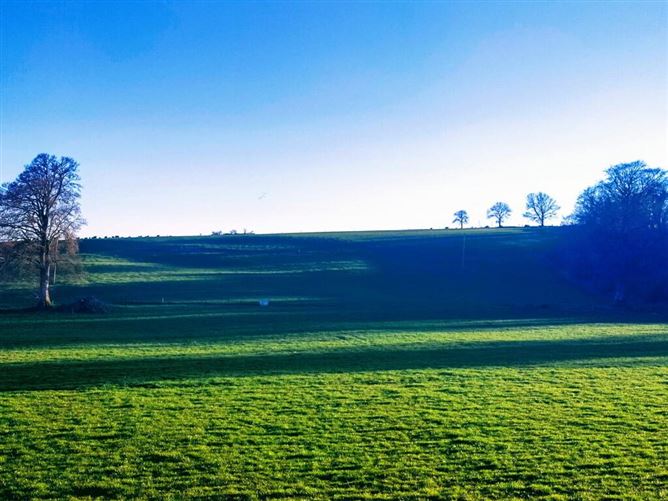 Kildrenagh, Dunleckney, Bagenalstown, Carlow