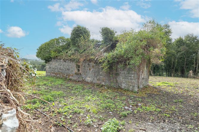 Bratty Road, Castlepollard, Westmeath