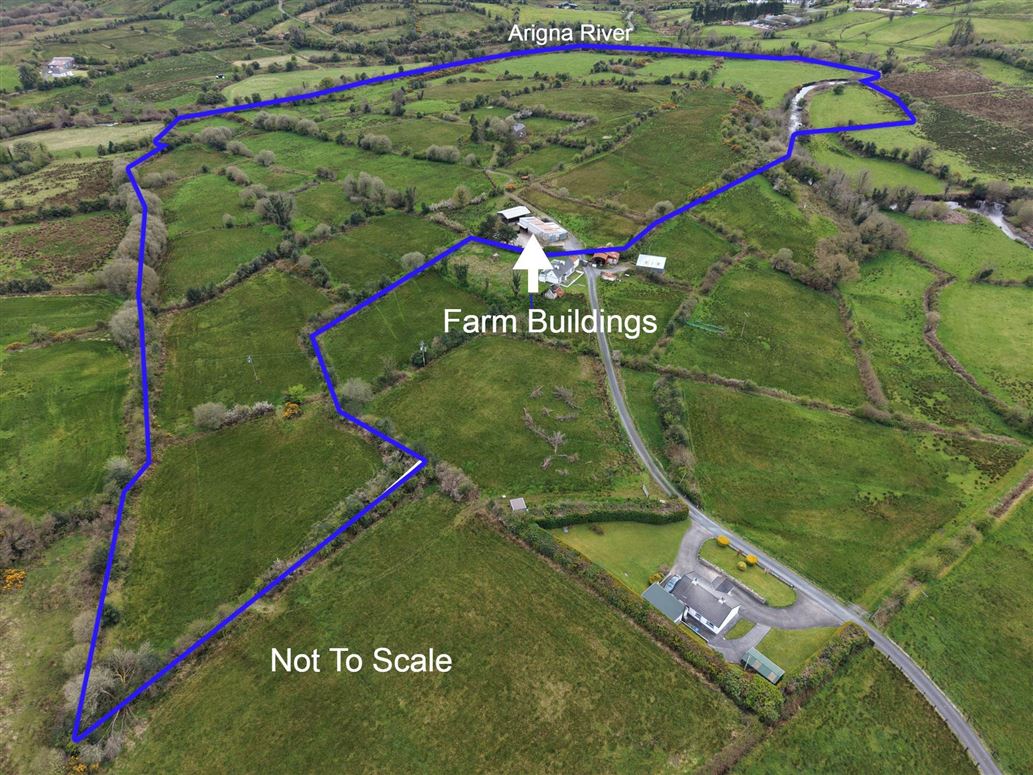 Derelict Residence & Farm Buildings C. 41.44 Acres, Corgorman, Arigna, County Roscommon