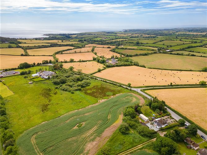 Pride O'Morn, Bogland, Arklow, Co. Wicklow