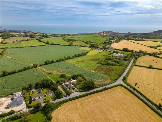 Pride O'Morn, Bogland, Arklow, Co. Wicklow