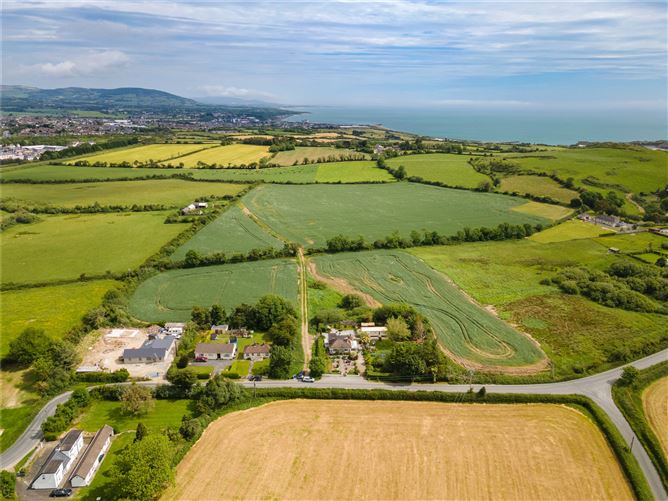 Pride O'Morn, Bogland, Arklow, Co. Wicklow