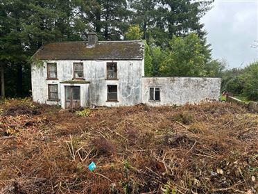 Image for Derelict Farmhouse On 10.45 Acres, Lisheen, Gneeveguilla, Rathmore, Co. Kerry