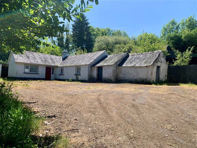 Tolerton, Ballickmoyler, Carlow, Co. Laois