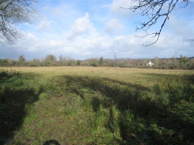 Barragh More, Drumlish, Longford