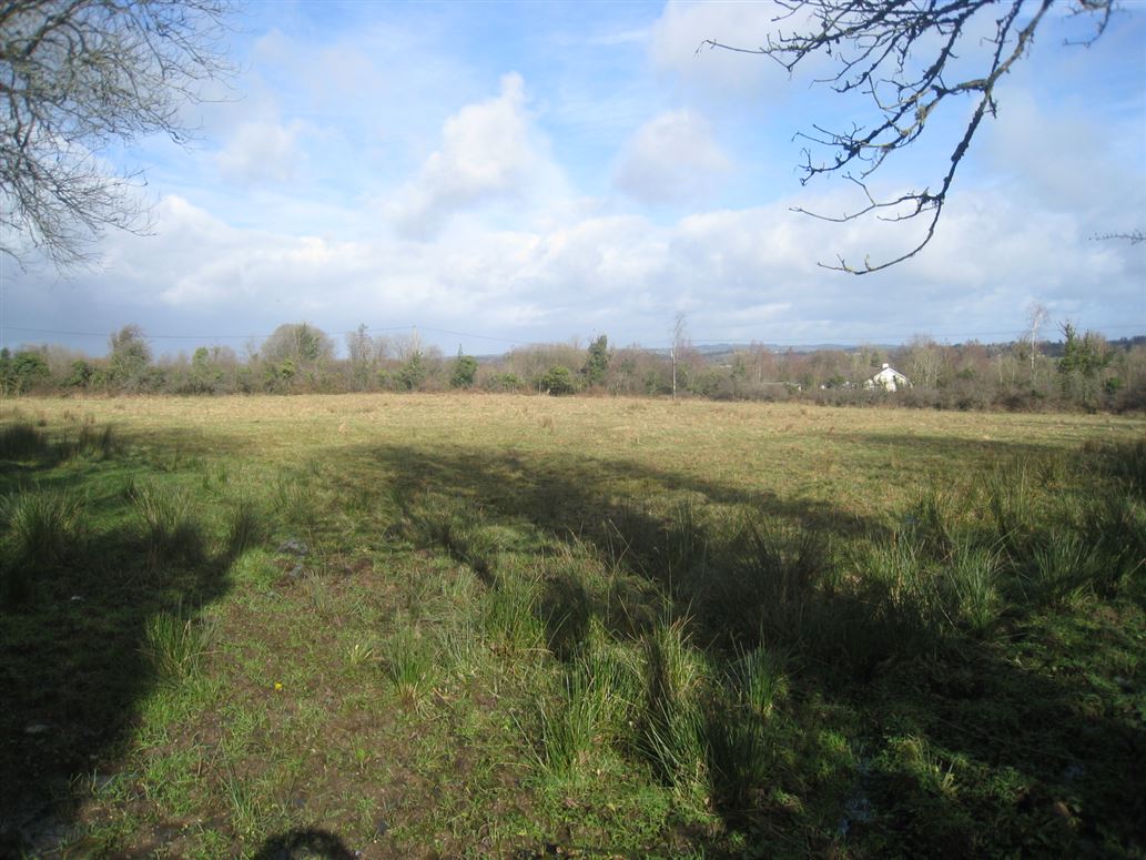 Barragh More, Drumlish, Longford