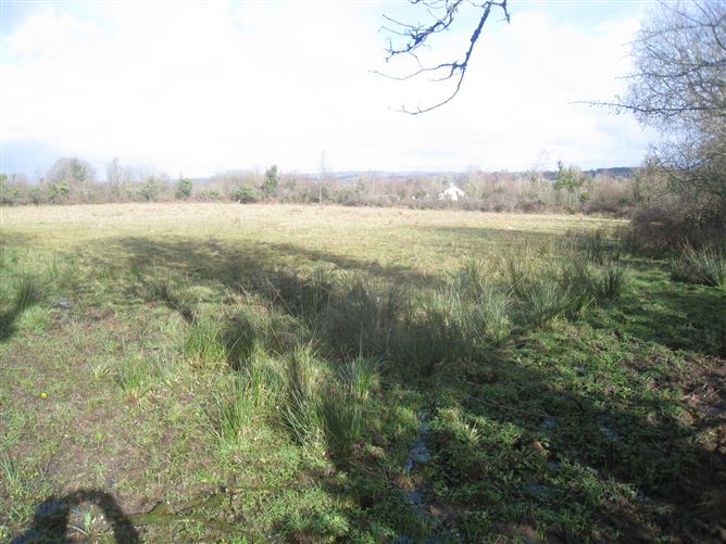 Barragh More, Drumlish, Longford